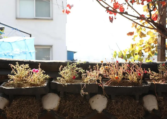 Bukchonmaru Hanok Guesthouse